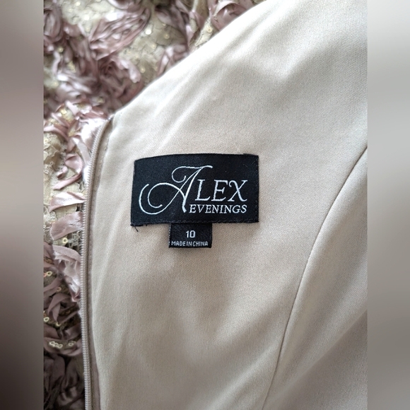 Alex Evenings Gorgeous Lace A-Line Gown - Picture 11 of 14